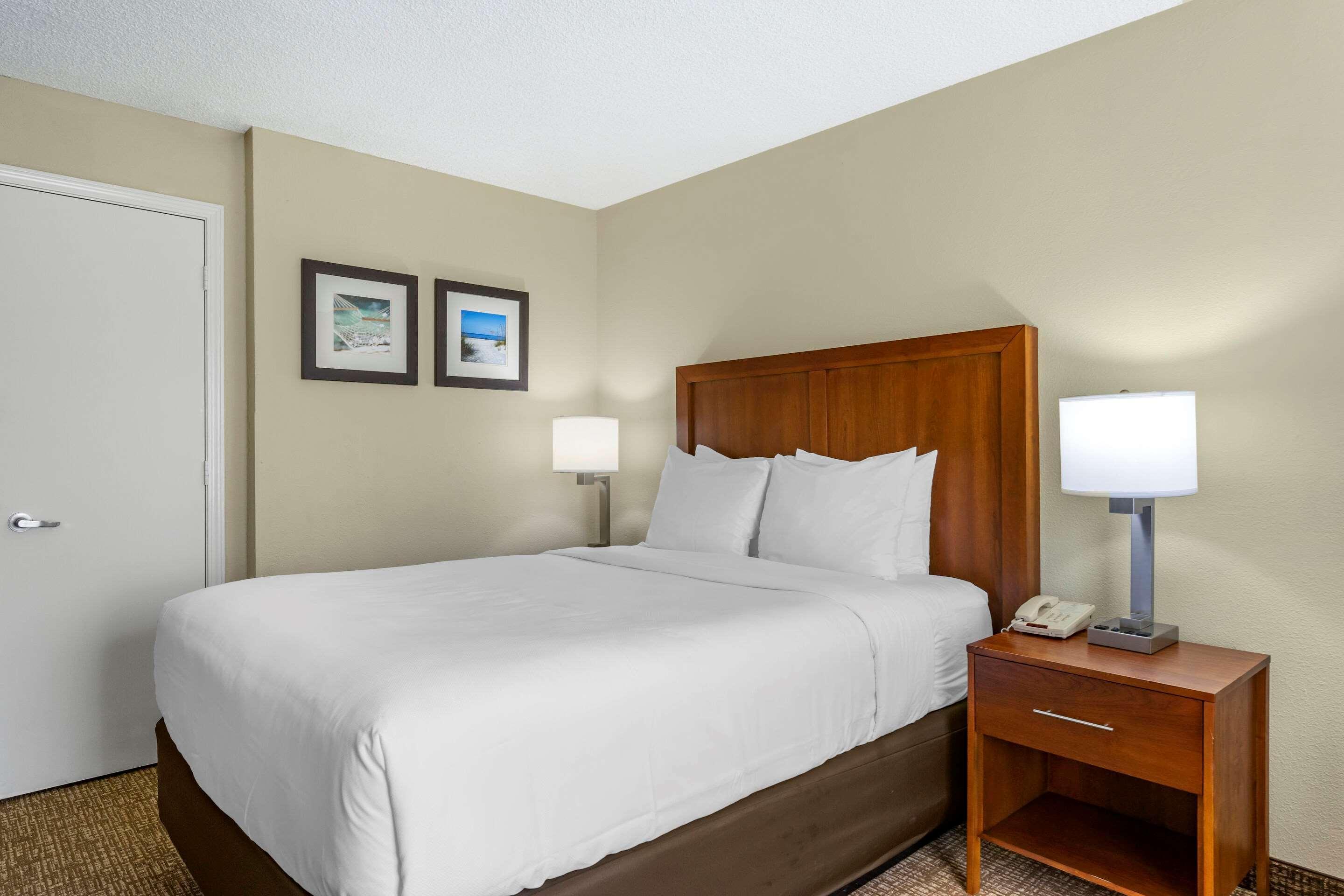 Comfort Inn & Suites St Pete - Clearwater International Airport Extérieur photo