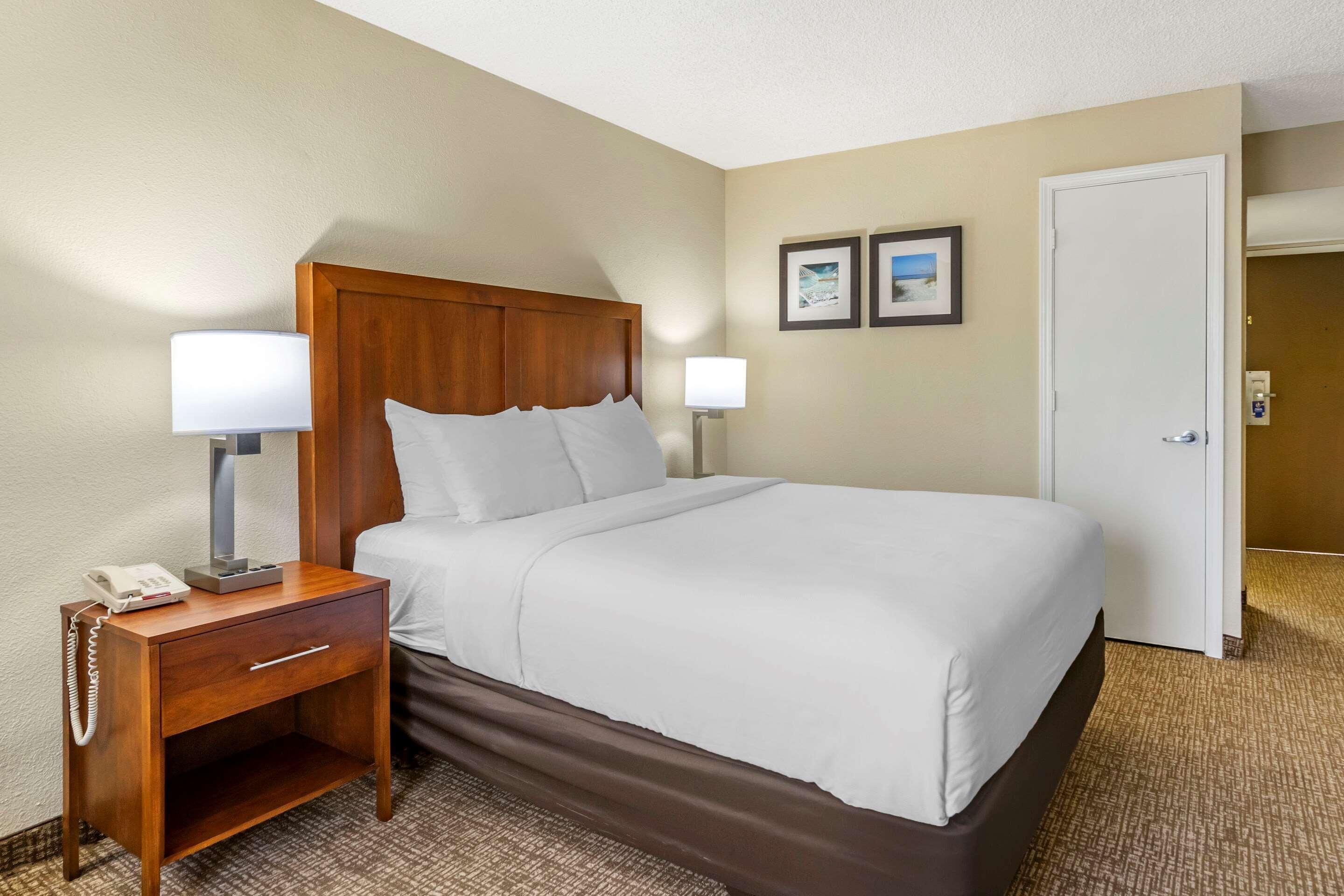 Comfort Inn & Suites St Pete - Clearwater International Airport Extérieur photo