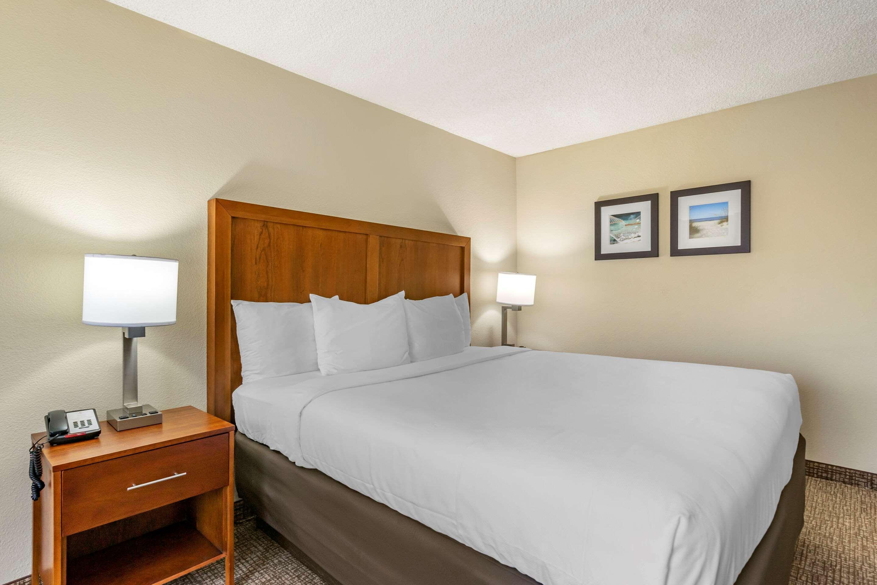 Comfort Inn & Suites St Pete - Clearwater International Airport Extérieur photo