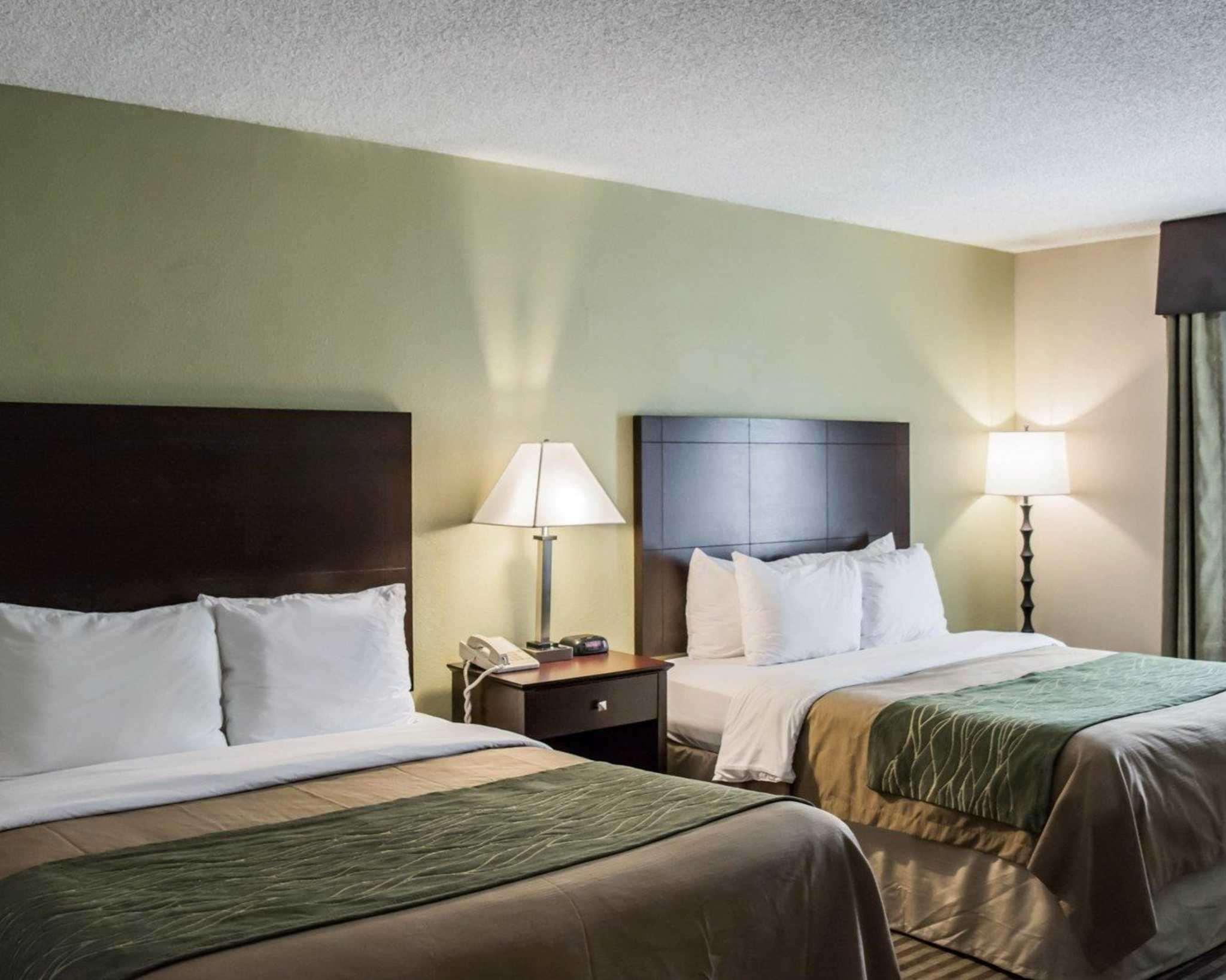 Comfort Inn & Suites St Pete - Clearwater International Airport Extérieur photo