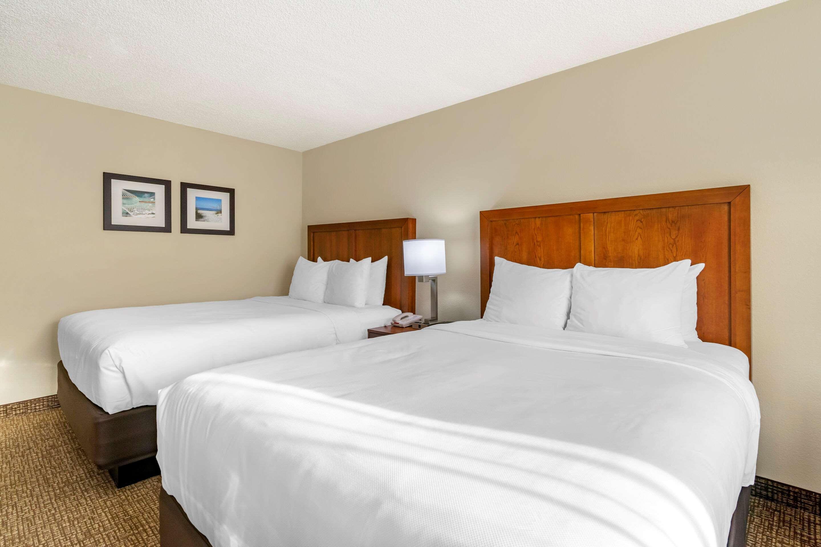 Comfort Inn & Suites St Pete - Clearwater International Airport Extérieur photo