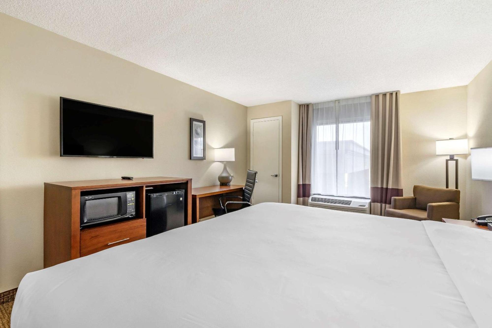 Comfort Inn & Suites St Pete - Clearwater International Airport Extérieur photo