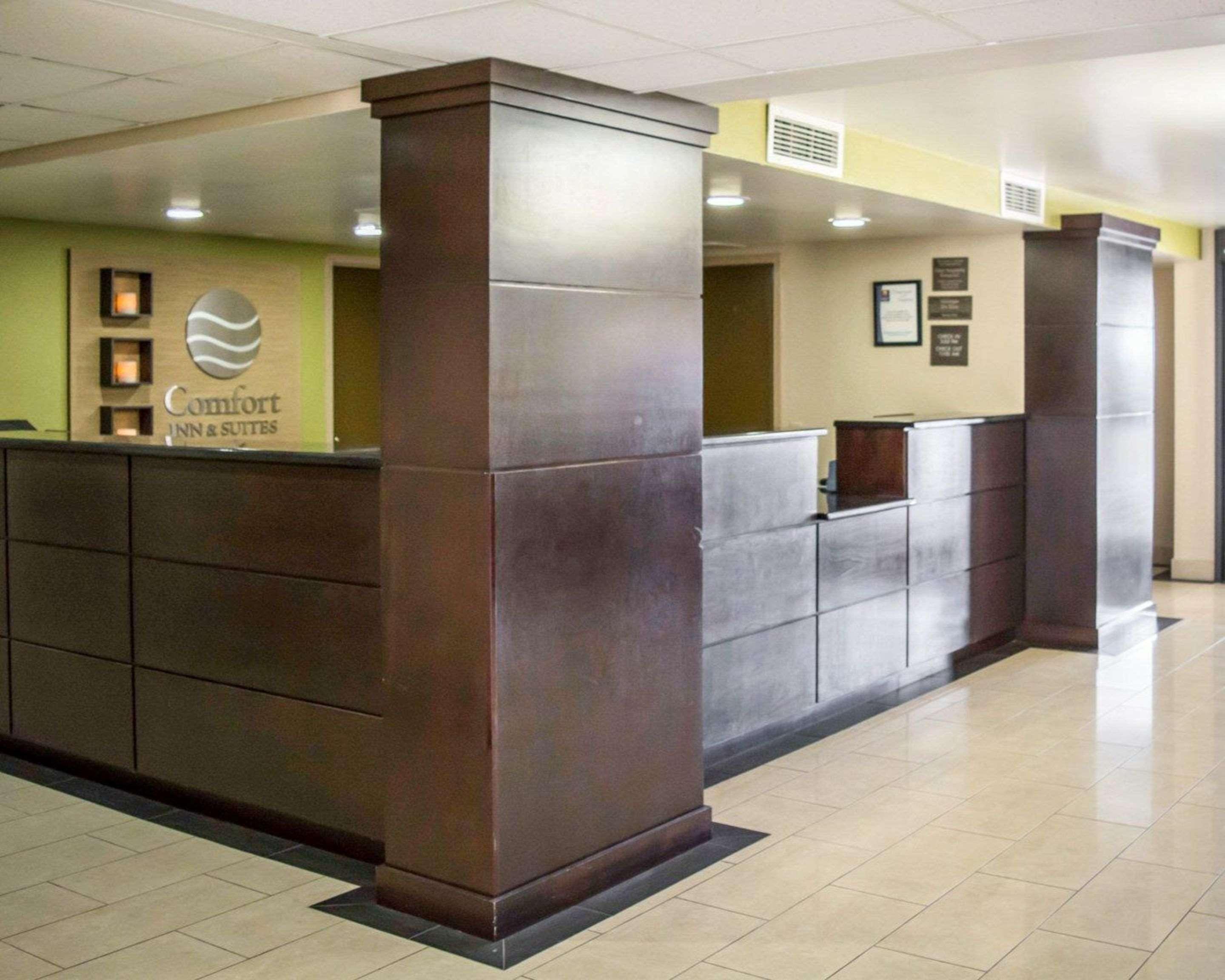 Comfort Inn & Suites St Pete - Clearwater International Airport Extérieur photo