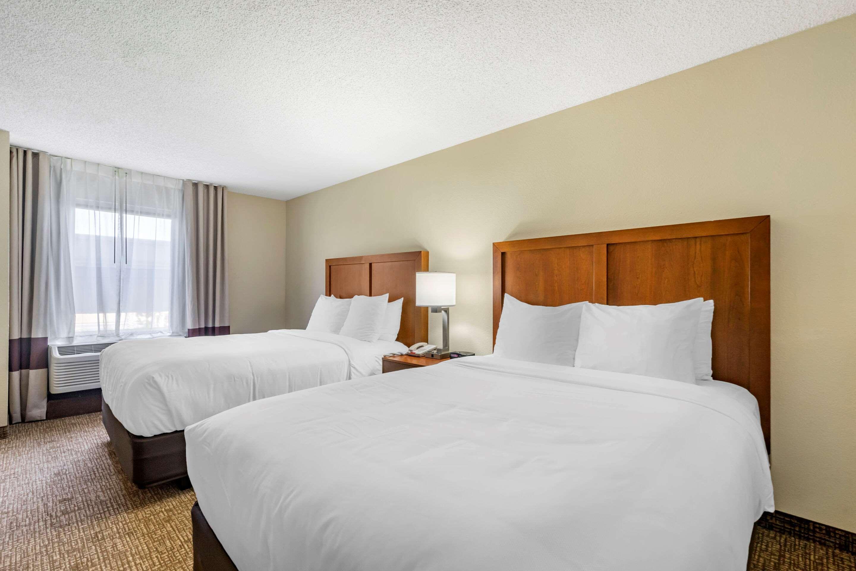 Comfort Inn & Suites St Pete - Clearwater International Airport Extérieur photo